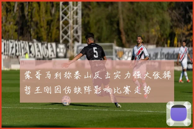 蒙哥马利称泰山反击实力强大张稀哲王刚因伤缺阵影响比赛走势
